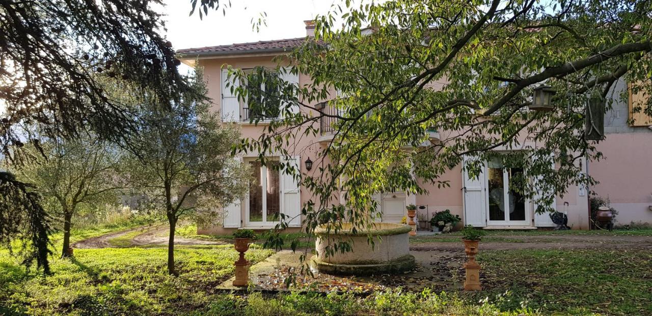 L'Ecrin De Vert Saint-Alban-du-Rhône Kültér fotó